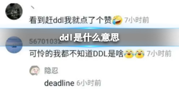 ddl是什么梗