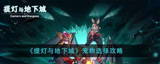 提灯与地下城带什么宠物好