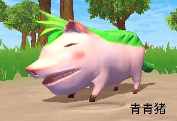 创造与魔法奇遇动物哪些可以进化？创造与魔法奇遇动进化后都是什么样子？
