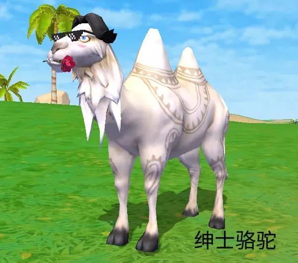 创造与魔法奇遇动物哪些可以进化？创造与魔法奇遇动进化后都是什么样子？