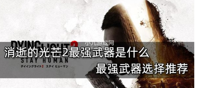 消逝的光芒2最强武器是什么