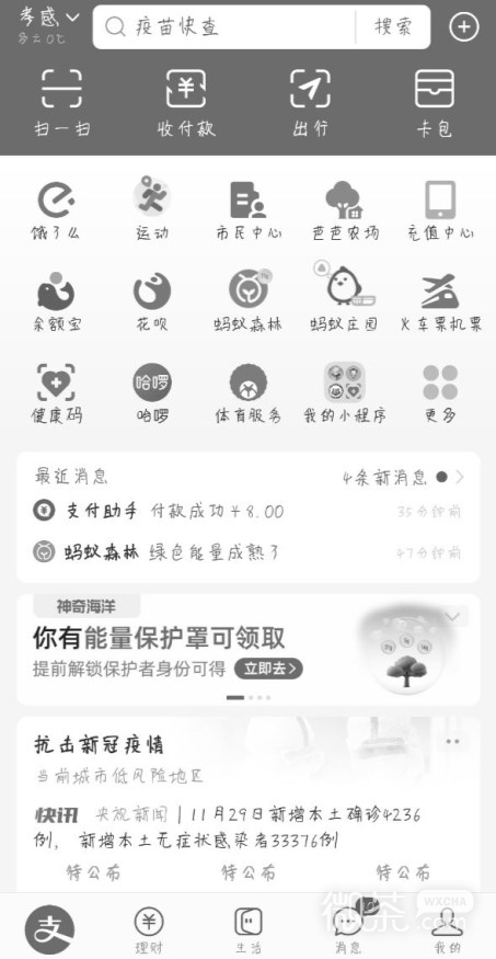 支付宝页面变灰是怎么回事攻略