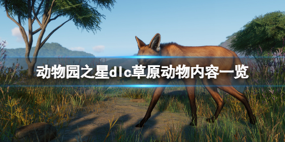 《动物园之星》草原动物有哪些内容？dlc草原动物内容一览