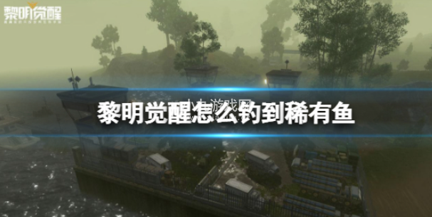 黎明觉醒怎么钓到稀有鱼