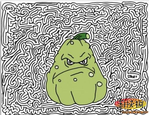 《植物大战僵尸2》迷宫窝瓜迷阵