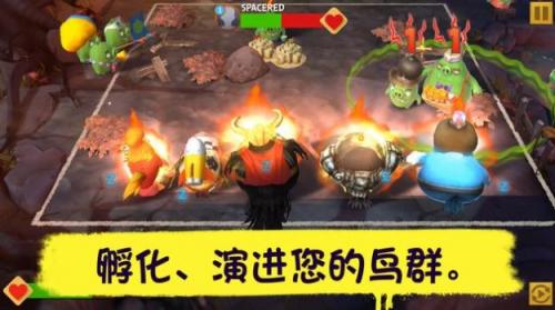 愤怒的小鸟演变