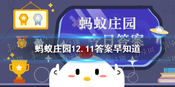 飞往南方过冬的鸟类-蚂蚁庄园12.11答案早知道