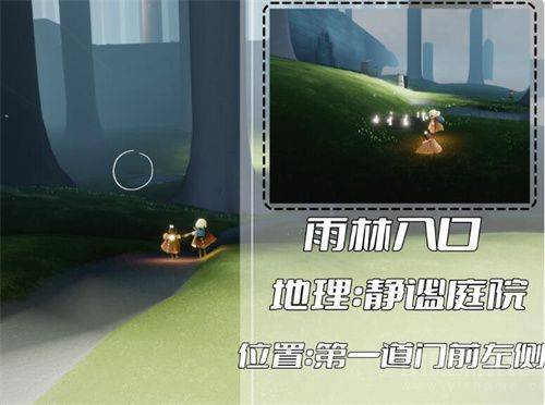 Sky光遇雨林冥想在哪里-雨林五个冥想地点坐标
