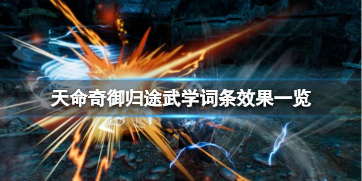 《天命奇御归途》武学词条有哪些效果？武学词条效果一览