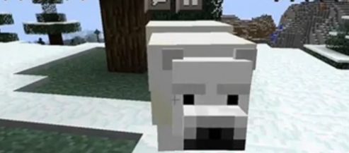 我的世界北极熊吃什么-北极熊作用及食物介绍