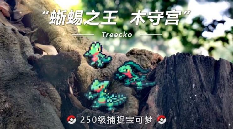 超时空召唤口袋版
