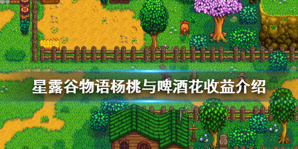 《星露谷物语》种杨桃还是啤酒花 杨桃与啤酒花收益介绍