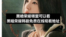 黑暗荣耀哪里可以看