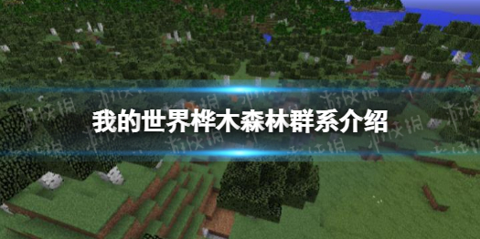 《我的世界》桦木森林群系介绍 桦木森林群系是什么？