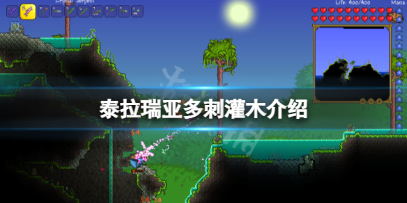 泰拉瑞亚多刺灌木有哪些
