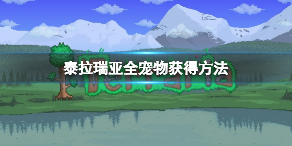 泰拉瑞亚全宠物获得方法宠物获得方法大全