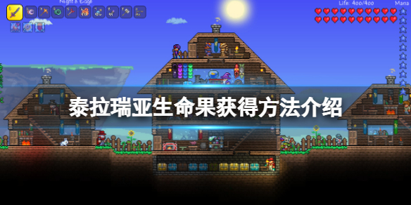 泰拉瑞亚生命果在哪