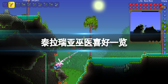 泰拉瑞亚巫医喜欢和谁住