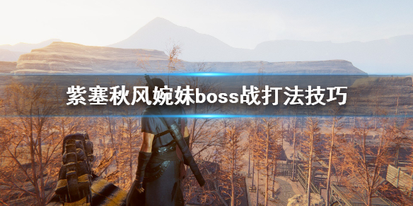 《紫塞秋风》婉妹怎么打？婉妹boss战打法技巧分享