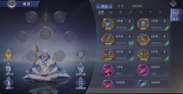 《斗罗大陆魂师对决》白鹤魂骨怎么选择？白鹤培养思路