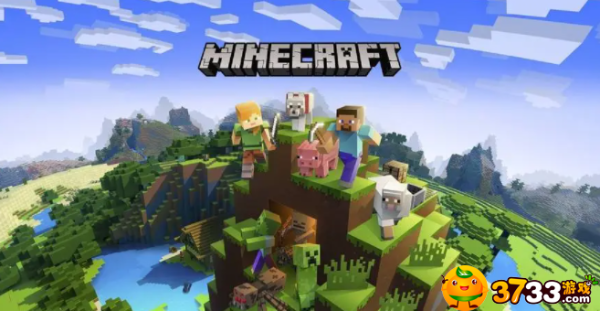 《我的世界》腐肉英文是什么？腐肉英文介绍