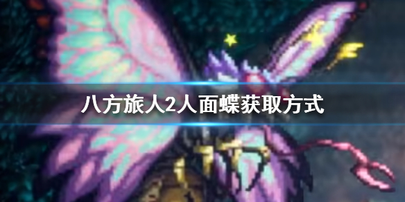 《八方旅人2》人面蝶在哪抓？人面蝶获取方式