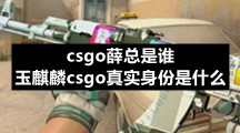 csgo薛总是谁-玉麒麟csgo真实身份是什么