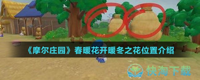 《摩尔庄园》春暖花开暖冬之花位置介绍