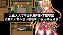 公主大人才不会认输呢补丁在哪里公主大人才不会认输呢补丁使用教程分享
