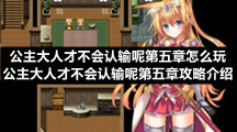 公主大人才不会认输呢第五章怎么玩公主大人才不会认输呢第五章策略介绍