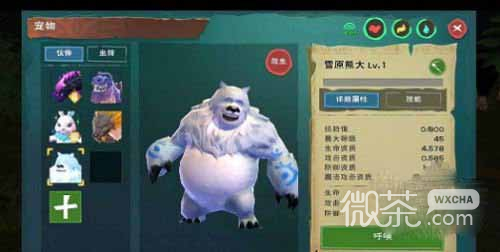 创造与魔法雪原熊如何捕捉