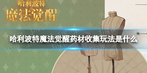 《哈利波特魔法觉醒》药材收集玩法怎么玩？药材收集玩法内容