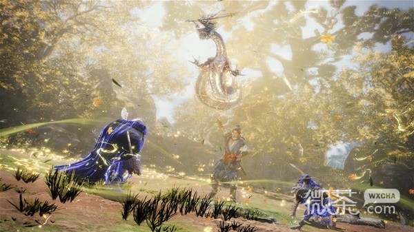 卧龙苍天陨落五行属性最佳加点攻略