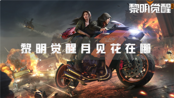黎明觉醒月见花在哪采集成就攻略