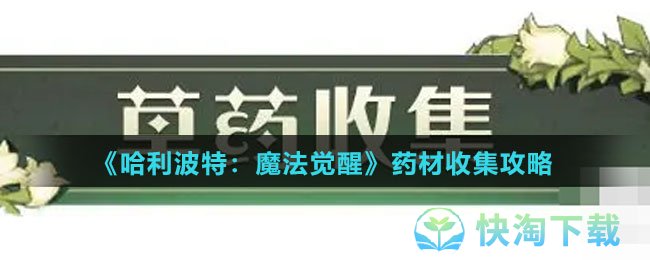 《哈利波特魔法觉醒》药材收集策略