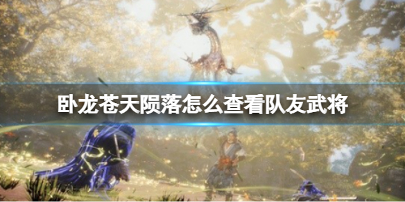 《卧龙苍天陨落》队友武将怎么查看？复活同行武将方法分享