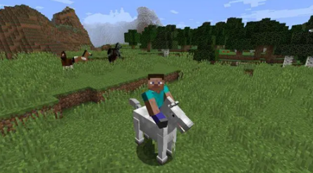 我的世界驯服马最佳教程