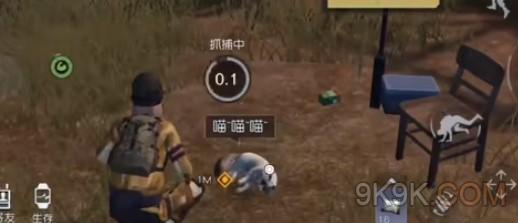 黎明觉醒急寻猫咪支线攻略详解