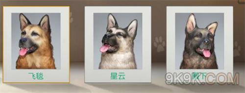 黎明觉醒宠物怎么获得