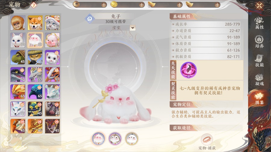 《天龙八部2:飞龙战天》惊现驯龙高手 三句话让你成为宠物大师