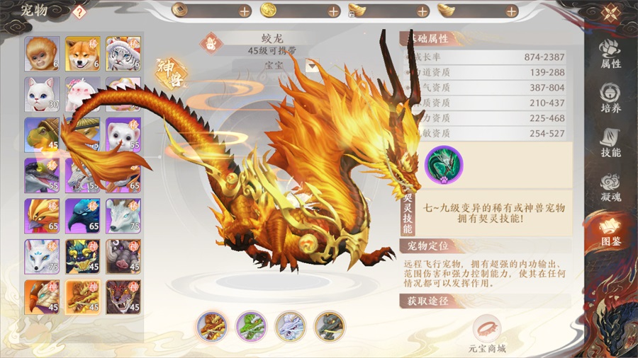 《天龙八部2:飞龙战天》惊现驯龙高手 三句话让你成为宠物大师