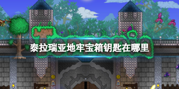 《泰拉瑞亚》地牢宝箱钥匙在哪里地牢宝箱钥匙位置介绍