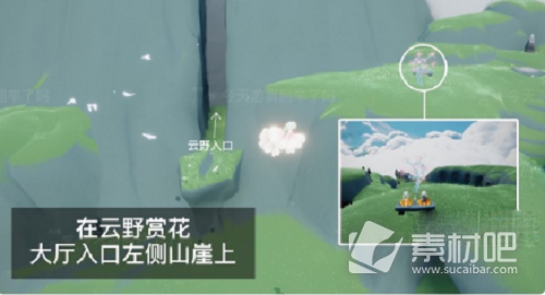 《光遇》花憩节赏花位置策略2023