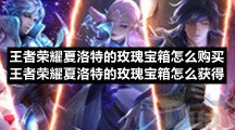 王者荣耀夏洛特的玫瑰宝箱怎么购买王者荣耀夏洛特的玫瑰宝箱怎么获得