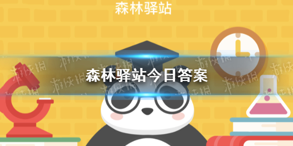 以下哪件事长臂猿不会做微博森林驿站今日答案3月24日
