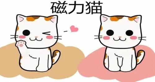 磁力猫bt在线搜索最新地址链接cilimao 磁力猫最新版地址链接网站入口2023分享