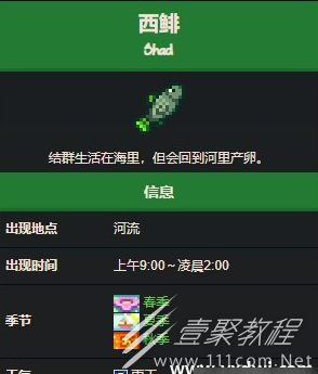 星露谷物语西鲱鱼有什么作用