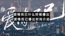 爱情而已什么时候播出