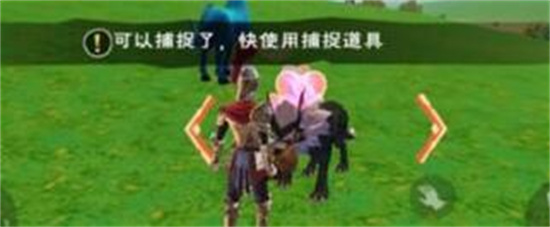 创造与魔法狼在哪里抓