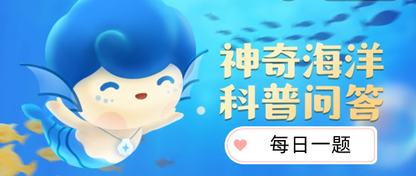 鲸鱼的繁殖方式是什么_支付宝2023.4.3神奇海洋科普问答答案